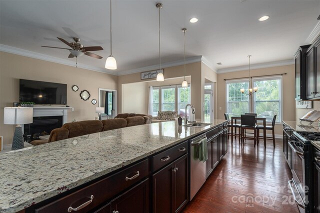 kitchen with sink, dark hardwood / wood-style flooring, a healthy amount of sunlight, and light stone counters