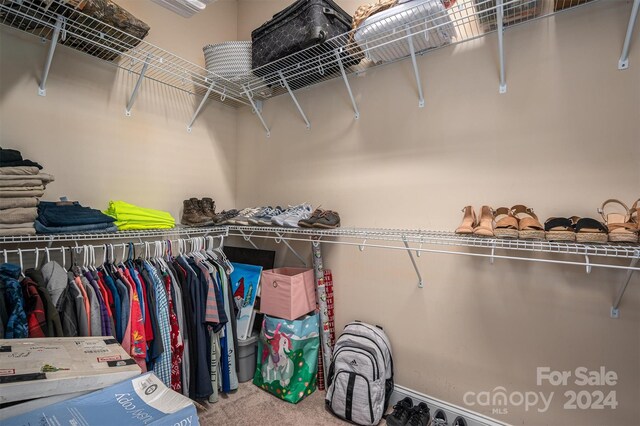 walk in closet with carpet