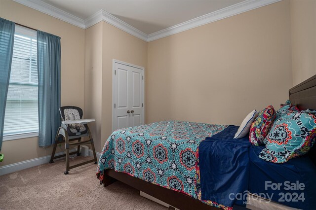 bedroom with carpet floors and ornamental molding