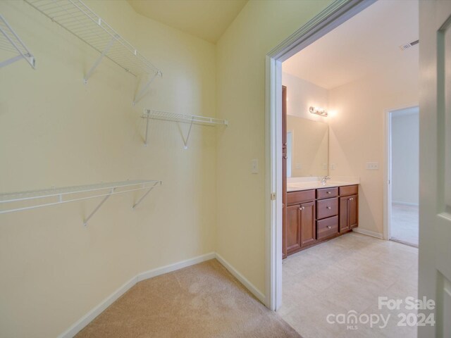 walk in closet with light colored carpet