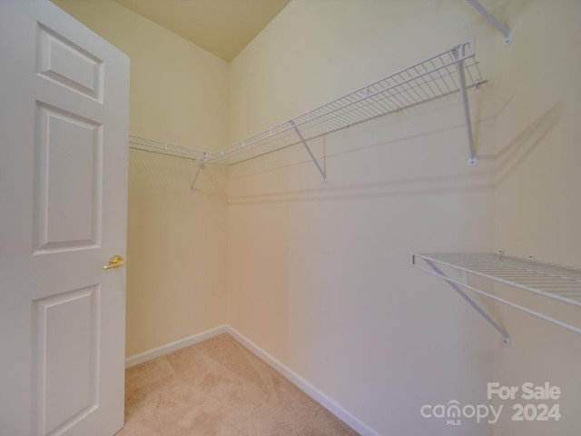 spacious closet featuring light carpet