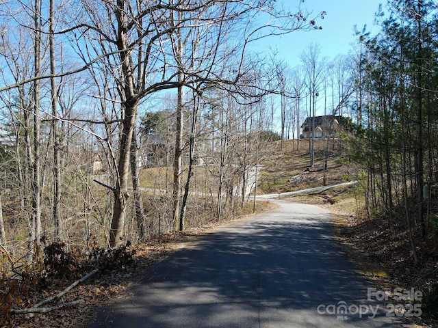 Listing photo 3 for 31 Forest Spring Dr Unit 14A, Asheville NC 28804