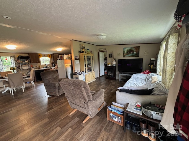 living room with a textured ceiling, ornamental molding, and dark hardwood / wood-style flooring