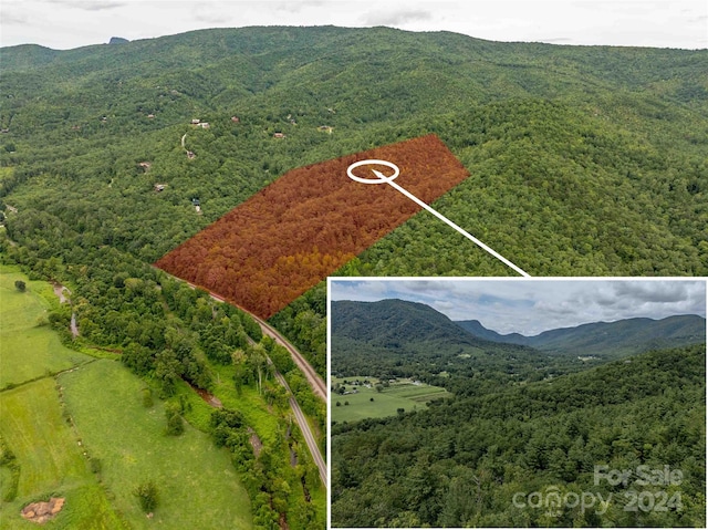 6786 Old Linville Rd, Marion, NC 28752