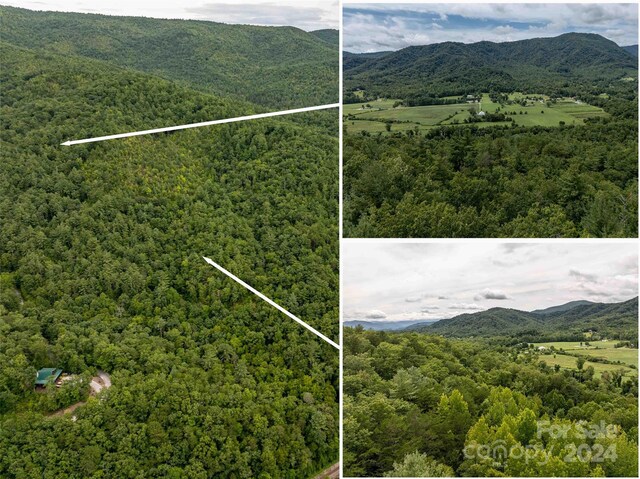 6786 Old Linville Rd, Marion, NC 28752