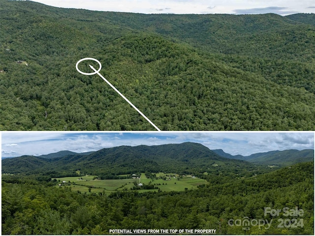 6786 Old Linville Rd, Marion, NC 28752