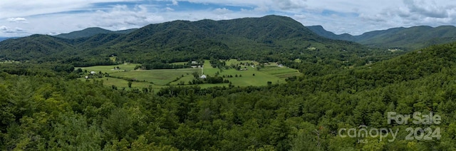 6786 Old Linville Rd, Marion, NC 28752