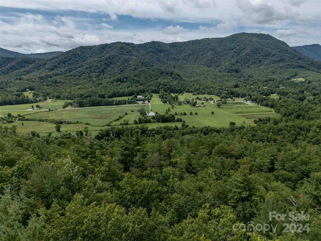 6786 Old Linville Rd, Marion, NC 28752