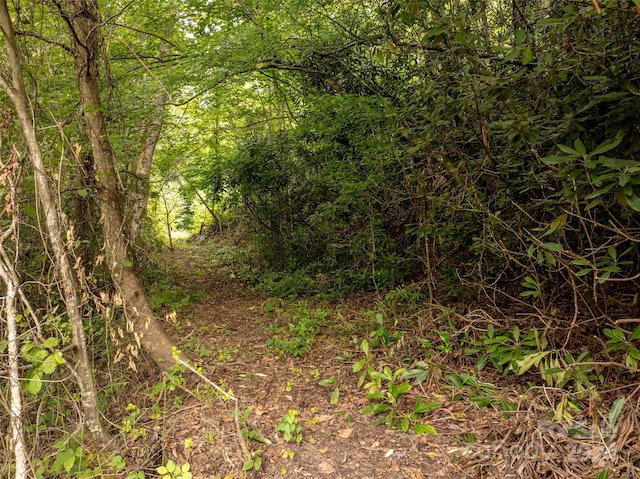 6786 Old Linville Rd, Marion, NC 28752