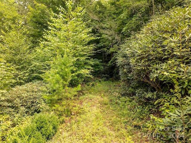 6786 Old Linville Rd, Marion, NC 28752
