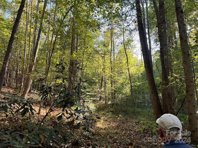 6786 Old Linville Rd, Marion, NC 28752
