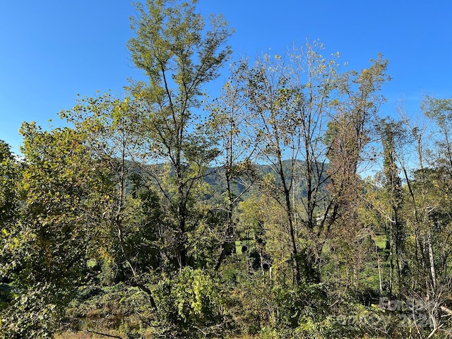 6786 Old Linville Rd, Marion, NC 28752