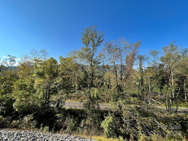 6786 Old Linville Rd, Marion, NC 28752