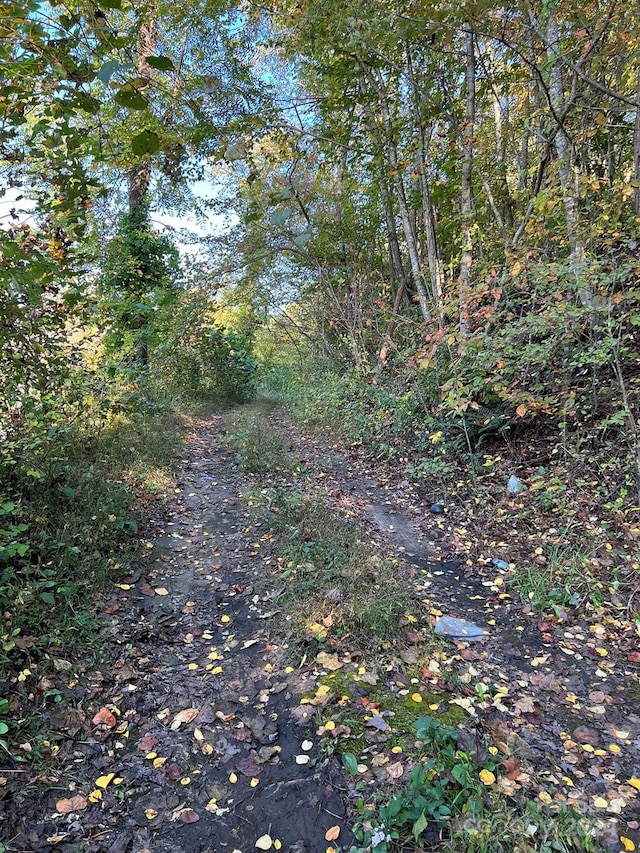 6786 Old Linville Rd, Marion, NC 28752