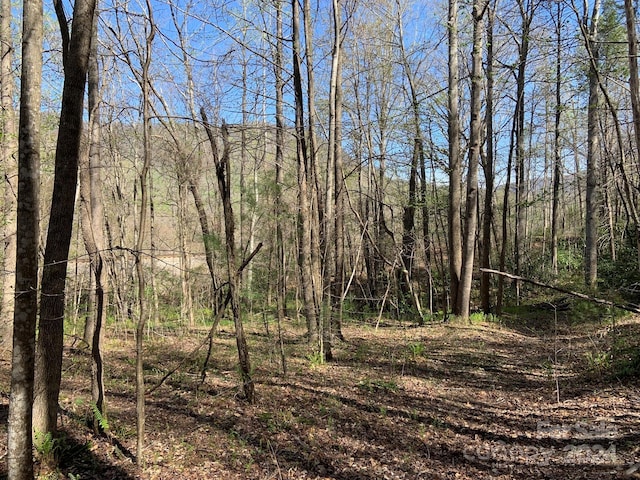 6786 Old Linville Rd, Marion, NC 28752