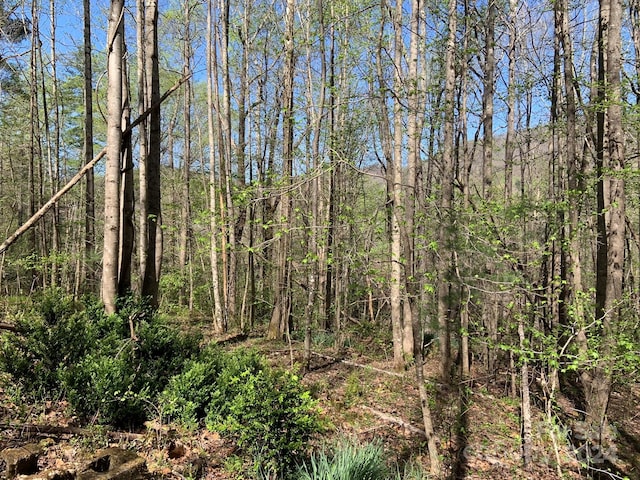 6786 Old Linville Rd, Marion, NC 28752