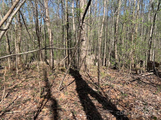 6786 Old Linville Rd, Marion, NC 28752