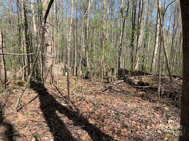 6786 Old Linville Rd, Marion, NC 28752