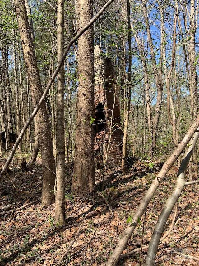 6786 Old Linville Rd, Marion, NC 28752