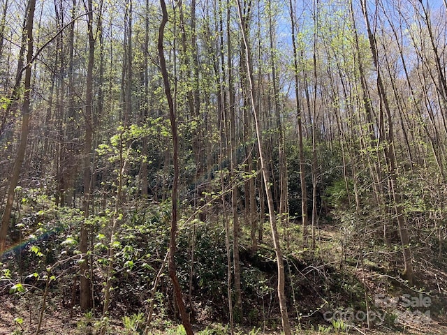 6786 Old Linville Rd, Marion, NC 28752