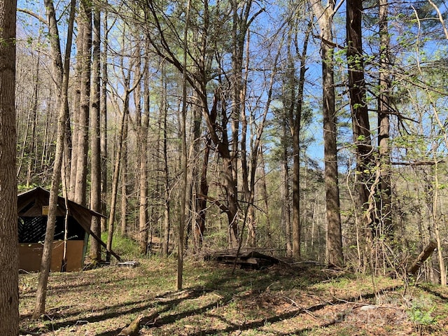 6786 Old Linville Rd, Marion, NC 28752