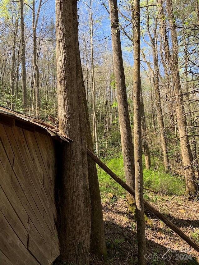 6786 Old Linville Rd, Marion, NC 28752