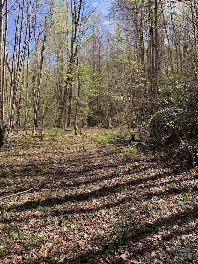 6786 Old Linville Rd, Marion, NC 28752