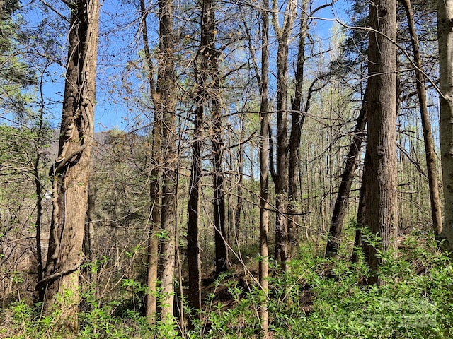 6786 Old Linville Rd, Marion, NC 28752
