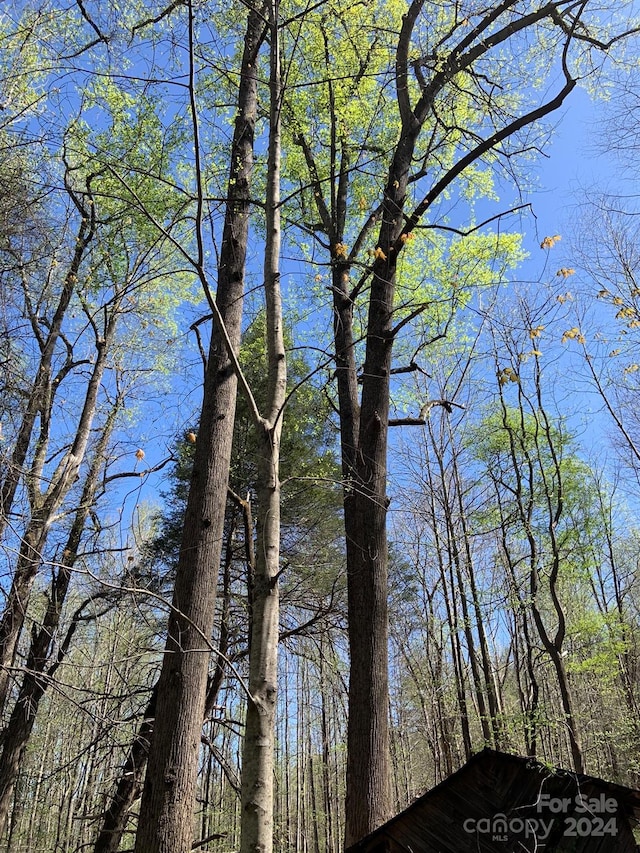 6786 Old Linville Rd, Marion, NC 28752