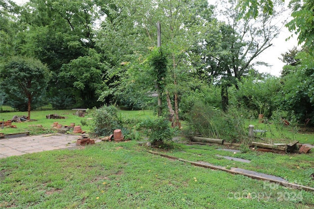 view of yard featuring a patio area