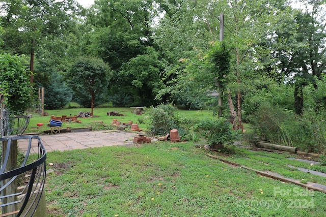 view of yard with a patio