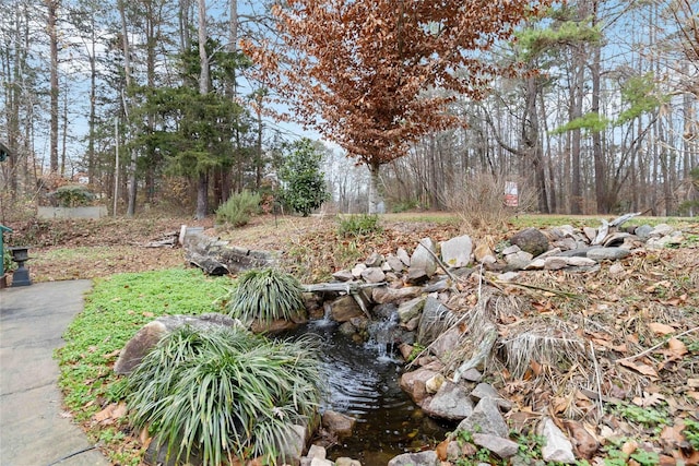 902 Coldwater Ct, Concord, NC 28025 - view of yard