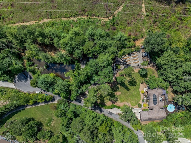 29 Spanish Oak Dr, Asheville, NC 28804 - photo 48