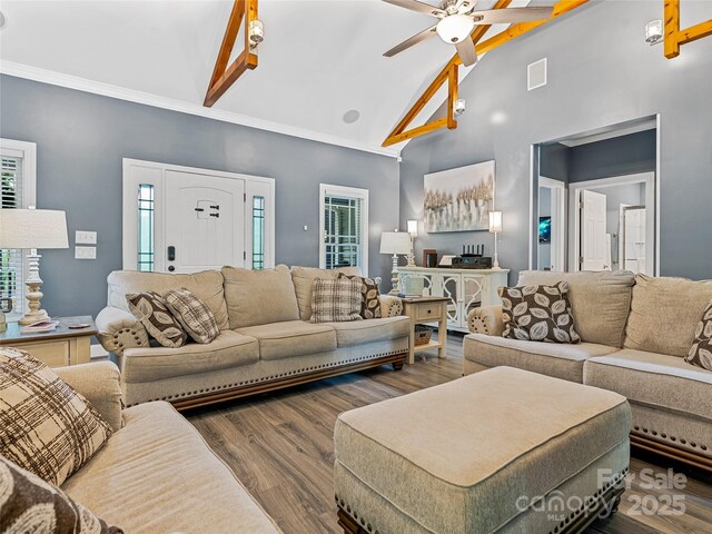 29 Spanish Oak Dr, Asheville, NC 28804 - photo 7