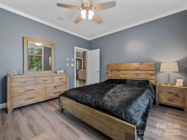 29 Spanish Oak Dr, Asheville, NC 28804 - photo 23