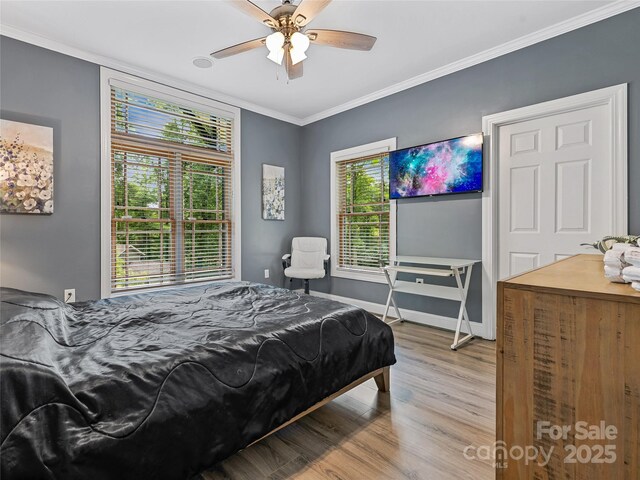 29 Spanish Oak Dr, Asheville, NC 28804 - photo 24