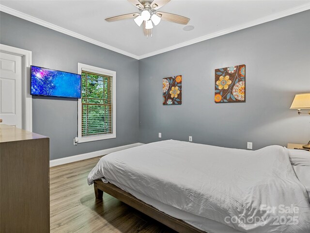 29 Spanish Oak Dr, Asheville, NC 28804 - photo 27
