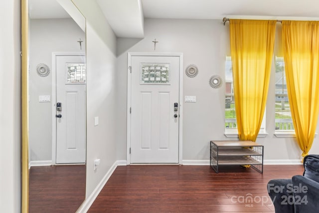 entrance foyer featuring hardwood / wood-style flooring