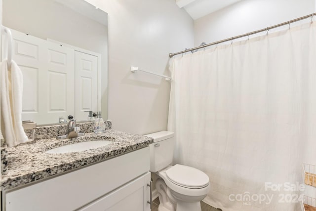 bathroom with toilet and vanity