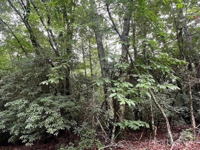 000 Wipprecht Dr, NC, 28777 land for sale