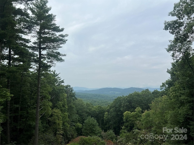 Listing photo 2 for 000 Wipprecht Dr, Spruce Pine NC 28777