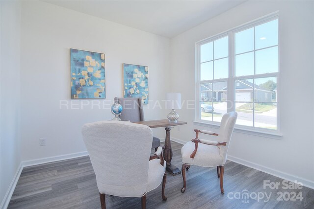 home office with dark hardwood / wood-style flooring