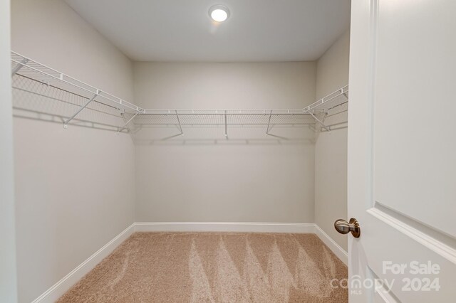 spacious closet with carpet floors