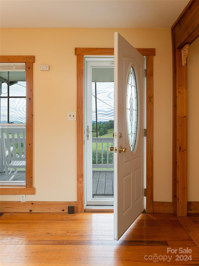 entrance foyer featuring wood-type flooring and a wealth of natural light