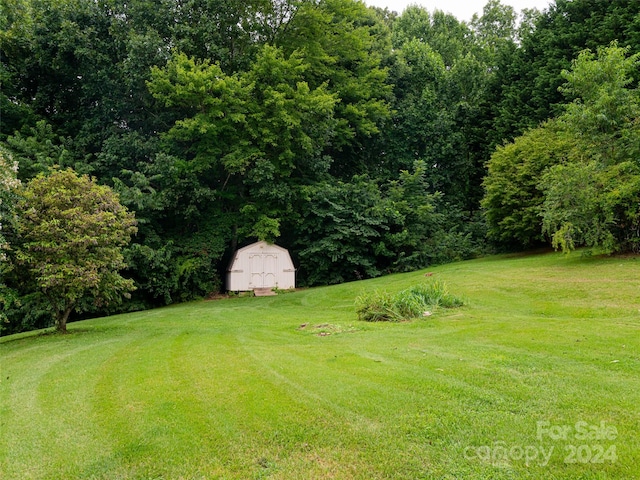 view of yard featuring a storage unit