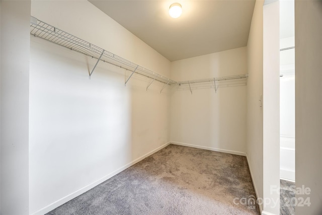 spacious closet with carpet floors