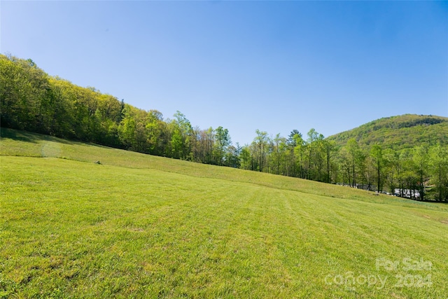 view of yard featuring a rural view