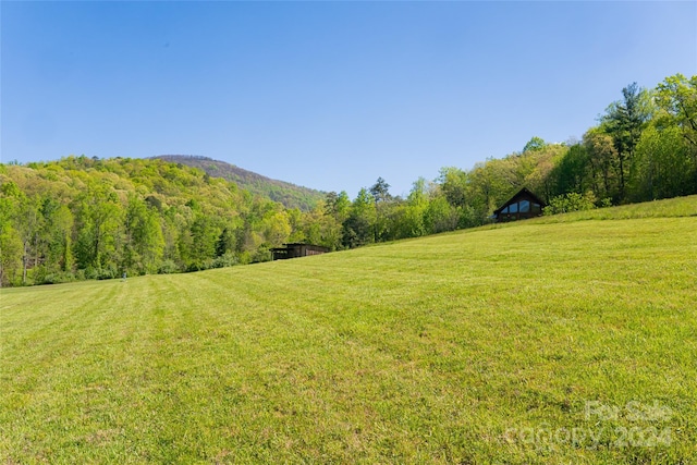 view of yard with a mountain view and a rural view