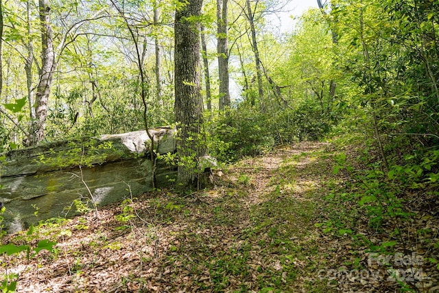 view of local wilderness