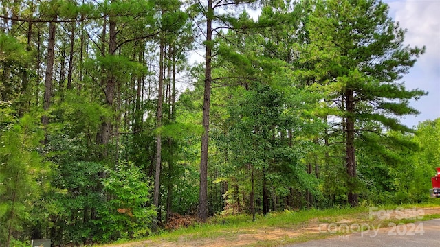 00 Sunset Dr Unit 17, Mill Spring NC, 28756 land for sale